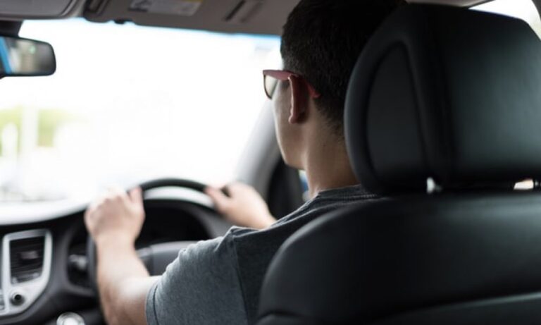 Professional Driving Instructors' Roles and Performance
